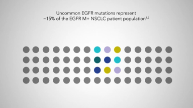 PC-MY-101511-thumbnail