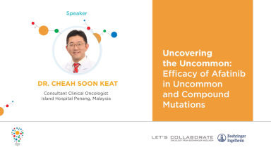 Uncovering the Uncommon: Efficacy of Afatinib in Uncommon and Compound Mutations