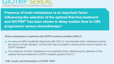 PC-MY-102132-thumbnail