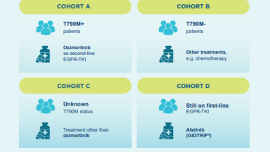 Totality Outcome of Afatinib (GIOTRIF®) Sequential Treatment in Patients with EGFRM+ NSCLC (CNS cohort)