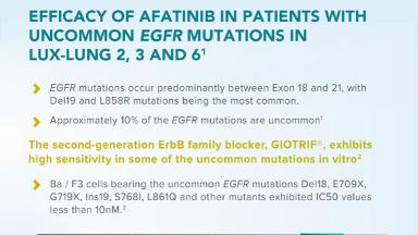 Pre-clinical-activity