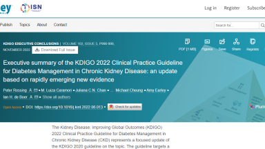 2022 KDIGO guidelines