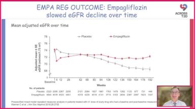 Evolving evidence in the role of empagliflozin in kidney diseases