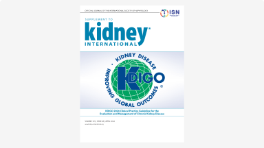 KDIGO 2024 Clinical Practice Guideline for the Evaluation and Management of Chronic Kidney Disease